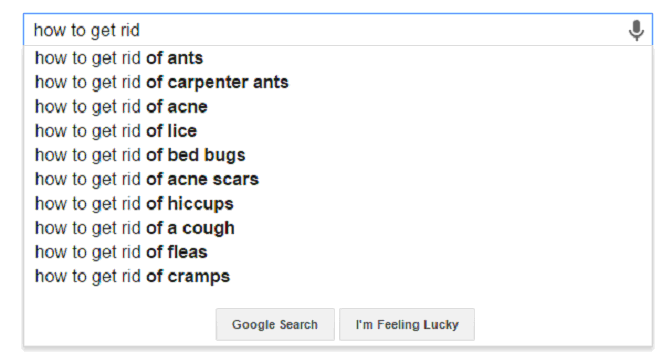 ants